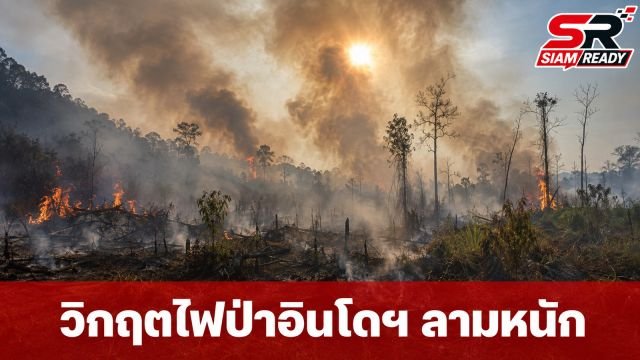 อินโดฯ วิกฤตไฟป่าเผาวอด 6.6 แสนไร่ หมอกควันพุ่งกระทบมาเลเซีย สั่งปิดโรงเรียน