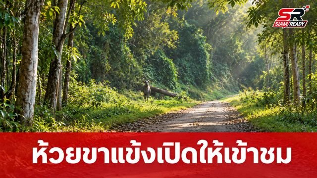 เขตรักษาพันธุ์สัตว์ป่าห้วยขาแข้ง เปิดประตูต้อนรับนักท่องเที่ยวศึกษาธรรมชาติ 10 ก.ย. นี้