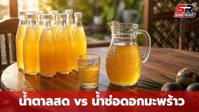 ไขข้อข้องใจ 'น้ำตาลสด' กับ 'น้ำช่อดอกมะพร้าว' ต่างกันอย่างไร เลือกอย่างไรให้ถูกใจ