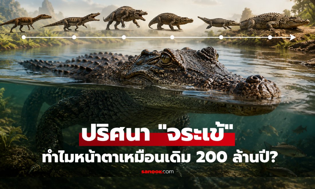 ไขปริศนาจระเข้: ทำไมรูปร่างเหมือนเดิมกว่า 200 ล้านปี? ความจริงที่มากกว่า 'ฟอสซิลมีชีวิต'