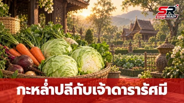 เปิดประวัติศาสตร์ 'กะหล่ำปลี' ผักคู่ครัวไทยกับพระกรณียกิจของพระราชชายาเจ้าดารารัศมี