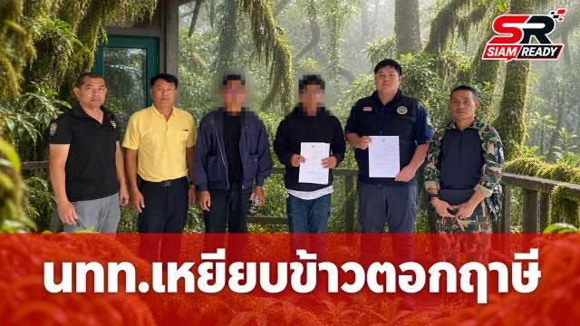 นทท.ต่างชาติเหยียบ 'ข้าวตอกฤาษี' ดอยอินทนนท์เสียหายหนัก จ่ายค่าปรับ 1 หมื่นบาท