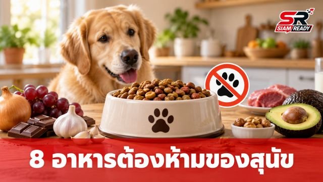 เตือนภัยคนรักสุนัข! 8 อาหารต้องห้ามที่อาจเป็นอันตรายถึงชีวิต