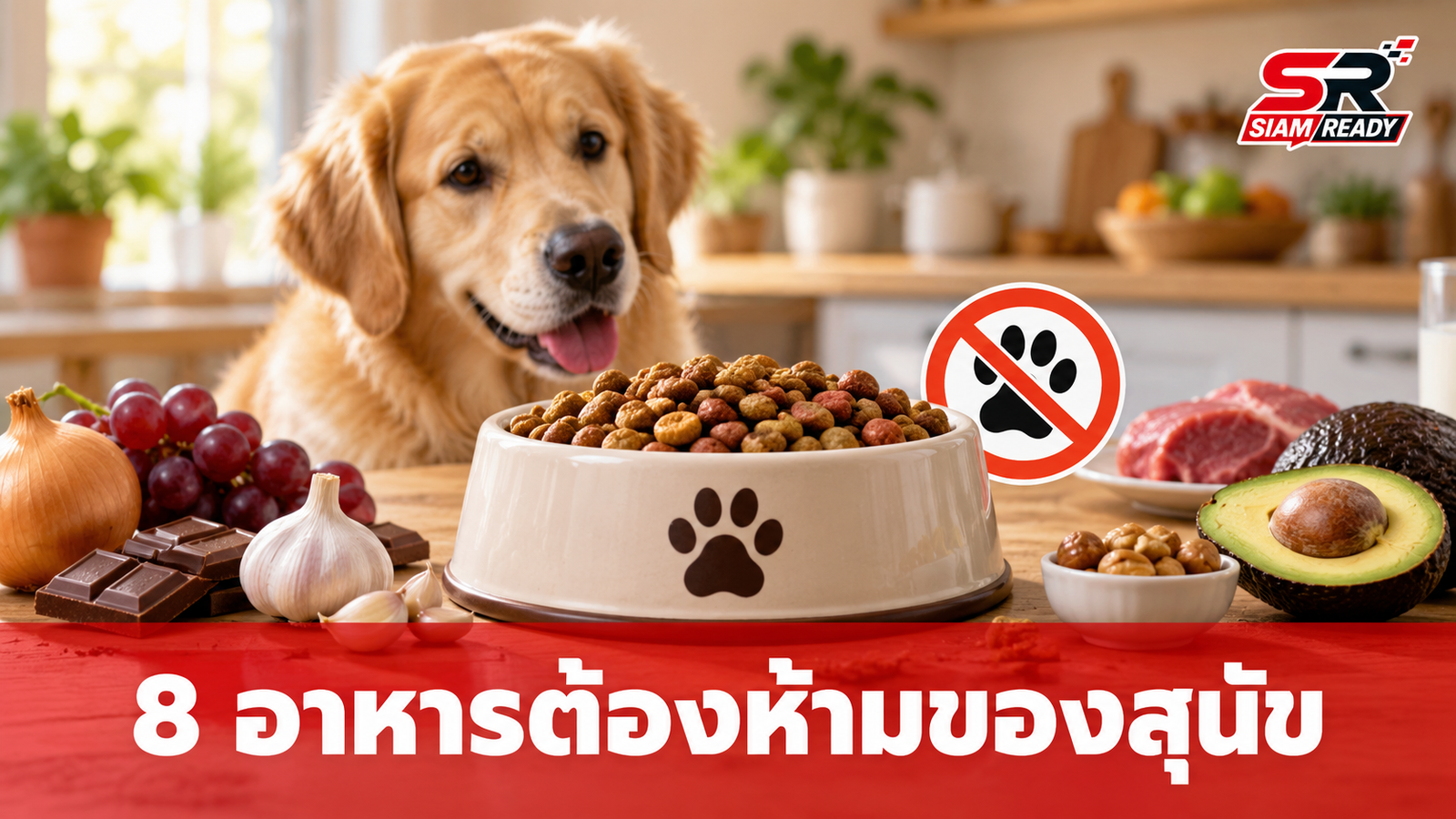 เตือนภัยคนรักสุนัข! 8 อาหารต้องห้ามที่อาจเป็นอันตรายถึงชีวิต