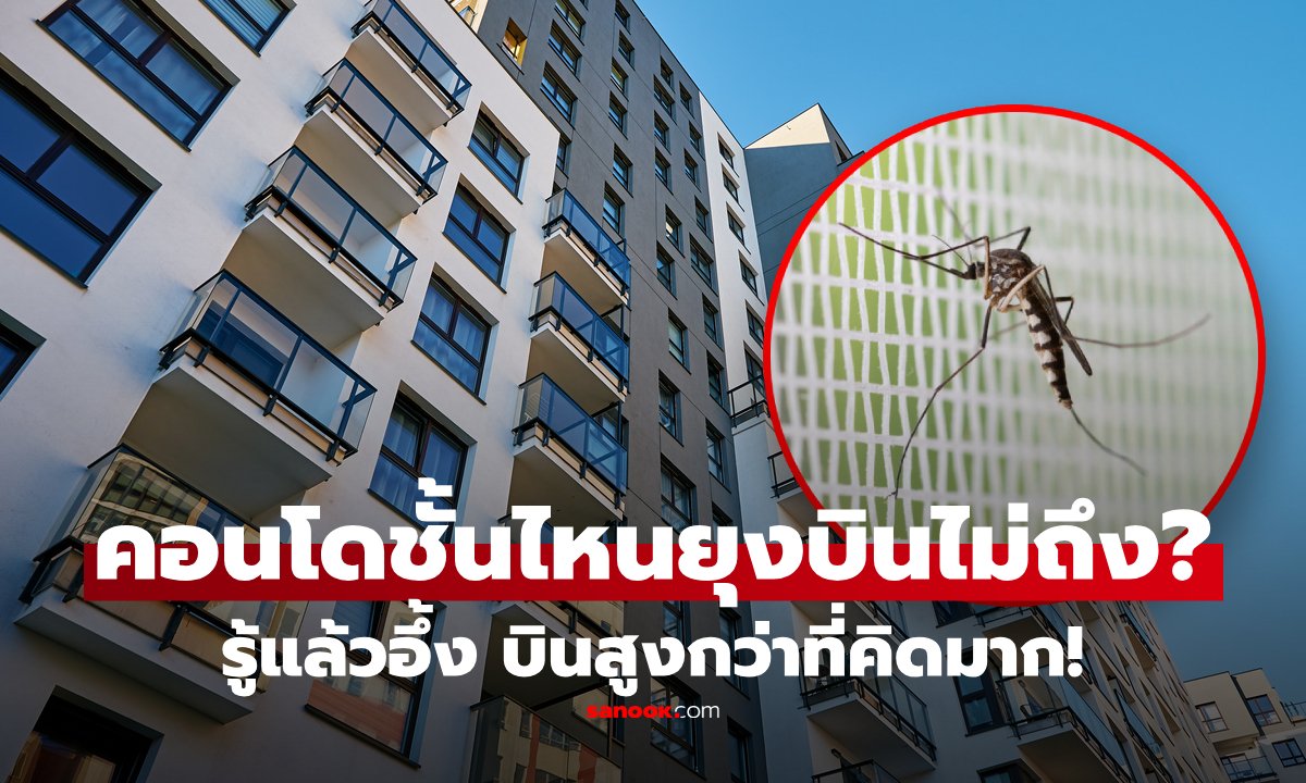 อยู่คอนโดชั้นสูงก็ไม่รอด! ไขคำตอบยุงบินได้สูงแค่ไหน ทำไมชั้น 20 ยังเจอยุง?