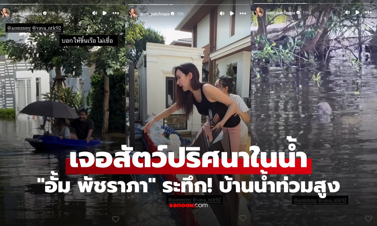 อั้ม พัชราภา ระทึก! น้ำท่วมหน้าบ้าน พบสัตว์ปริศนาโผล่กลางน้ำ