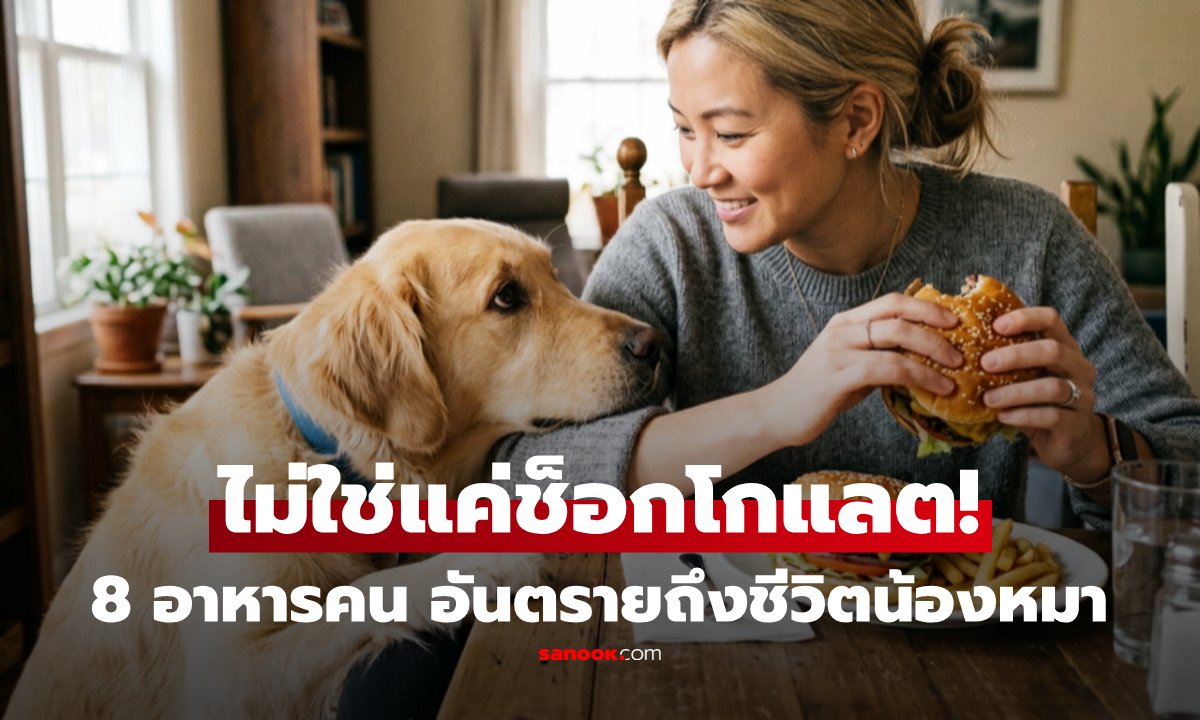 เตือนภัยคนรักสุนัข! 8 อาหารต้องห้ามที่อาจเป็นอันตรายถึงชีวิต