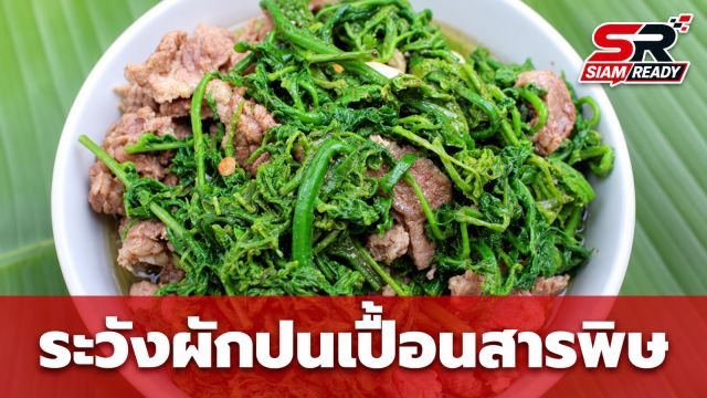 เตือนภัยผัก 3 กลุ่มเสี่ยงปนเปื้อนสารพิษ ทำร้ายตับและระบบประสาท รู้ไว้ก่อนสาย