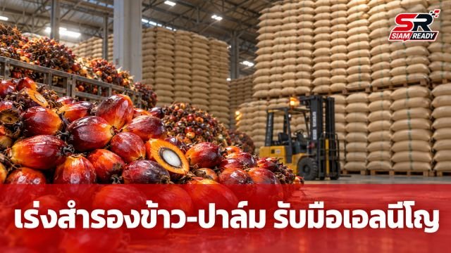 กรมการค้าภายในเร่งสำรองข้าว-ปาล์มน้ำมัน รับมือผลกระทบเอลนีโญ