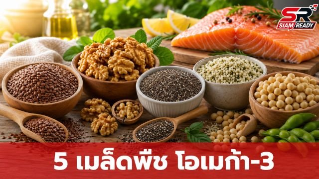 เปิดลิสต์ 5 เมล็ดพืช 'ถูกและดี' แหล่งโอเมก้า-3 จากธรรมชาติที่หลายคนมองข้าม