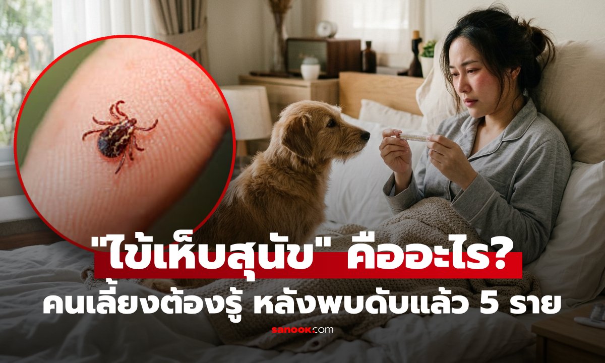 เตือนภัย 'ไข้เห็บสุนัข' พบผู้ป่วยแล้ว 53 ราย เสียชีวิต 5 ราย แนะวิธีป้องกันและสังเกตอาการ