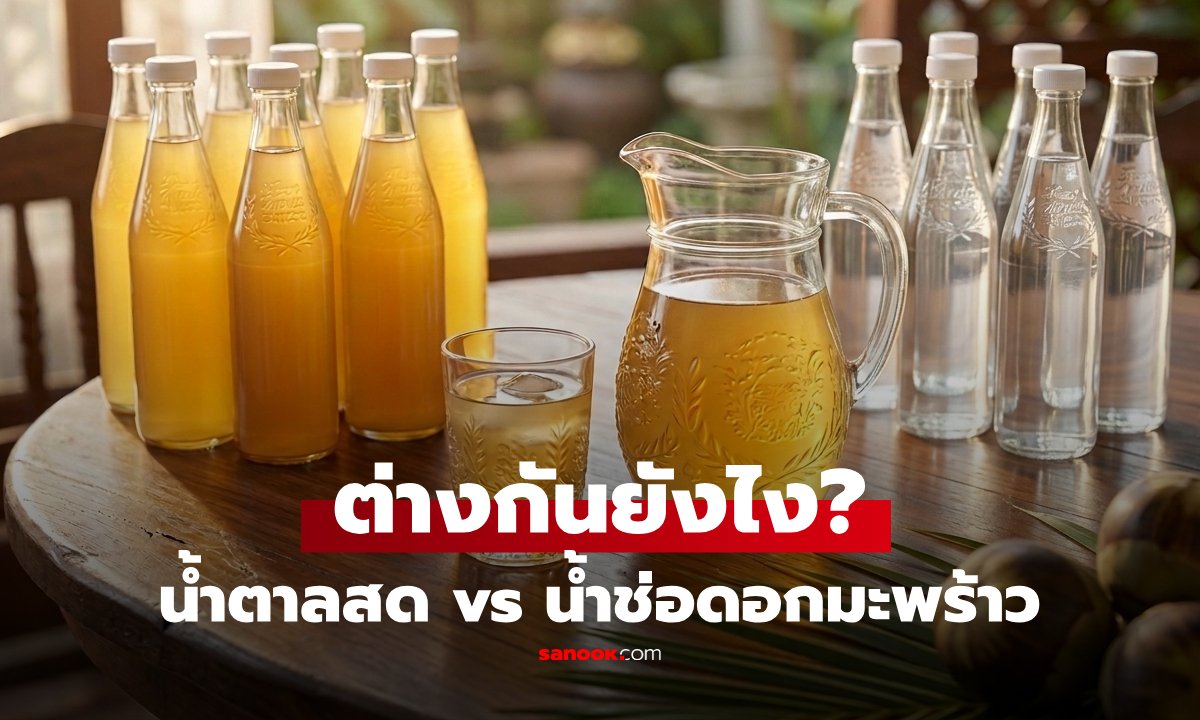 ไขข้อข้องใจ 'น้ำตาลสด' กับ 'น้ำช่อดอกมะพร้าว' ต่างกันอย่างไร เลือกอย่างไรให้ถูกใจ