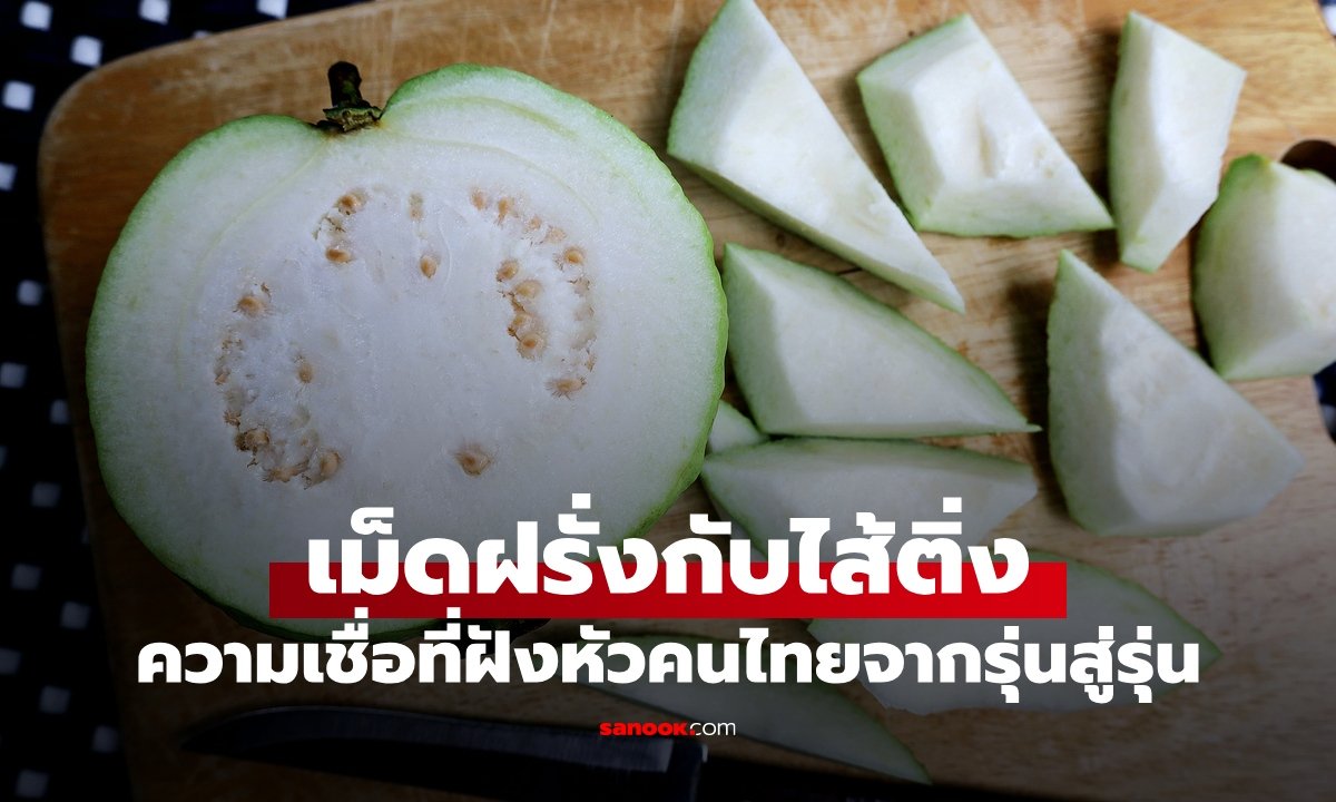 ไขข้อข้องใจ กินเม็ดฝรั่งเสี่ยงเป็นไส้ติ่งจริงหรือ? ความจริงที่คนไทยเข้าใจผิดมานาน
