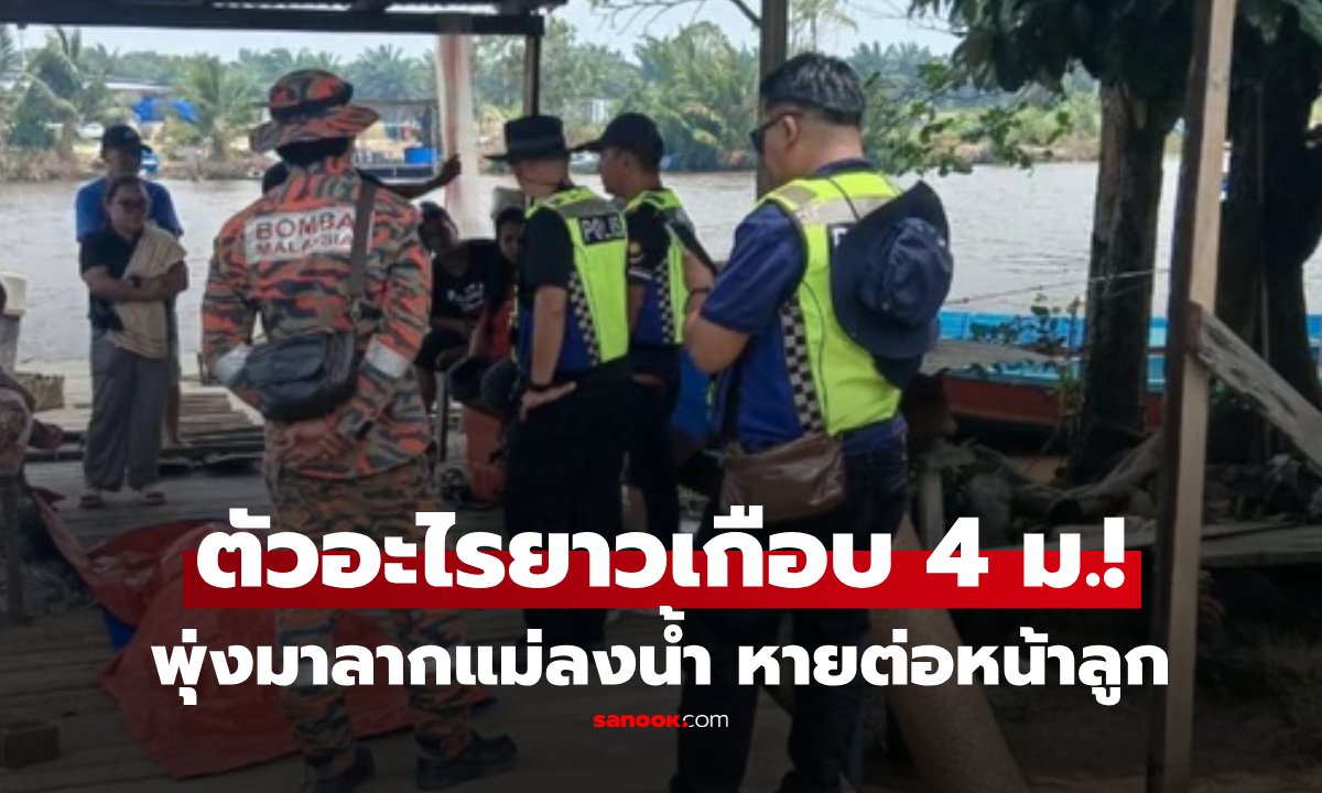 สลด! จระเข้ยักษ์ยาวเกือบ 4 เมตร ลากหญิงชราวัย 78 ปี ลงน้ำเสียชีวิตต่อหน้าลูกสาว