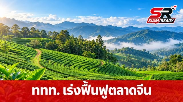 ททท. เดินหน้าแผนฟื้นฟูตลาดจีน ผนึกกำลังพันธมิตรสร้างความเชื่อมั่นกระตุ้นท่องเที่ยวไทย