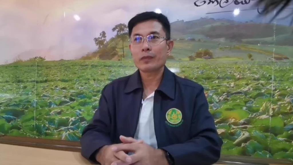 หวั่น UPOV 1991 ผูกขาดเมล็ดพันธุ์ ซ้ำรอยข้าวโพด-จดสิทธิบัตรกะเพรา