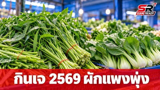 กินเจ 2569 ซึมลึก! ผักแพงพุ่ง 10 เท่า ร้านอาหารแบกต้นทุนหนัก