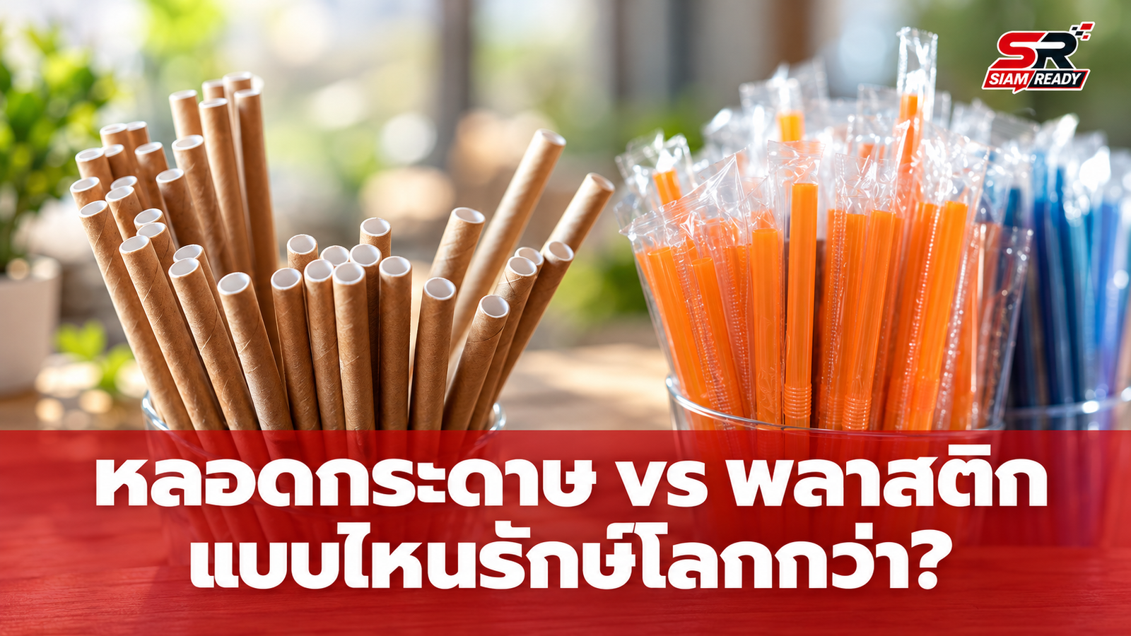 เปิดผลวิจัยหลอดกระดาษ vs พลาสติก แบบไหนกันแน่ที่รักษ์โลกมากกว่า?