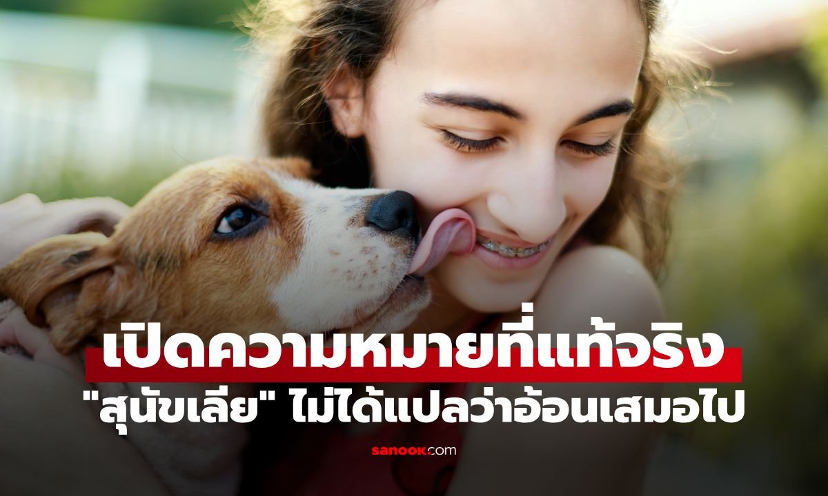 สุนัขเลียเจ้าของไม่ได้แปลว่ารักเสมอไป เปิดความหมายแฝงที่คนเลี้ยงมักเข้าใจผิด