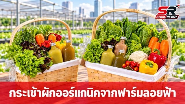 มิลล์ แอนด์ โค เปิดตัวกระเช้าผักออร์แกนิค ส่งต่อความห่วงใยจากฟาร์มลอยฟ้าใจกลางเมือง