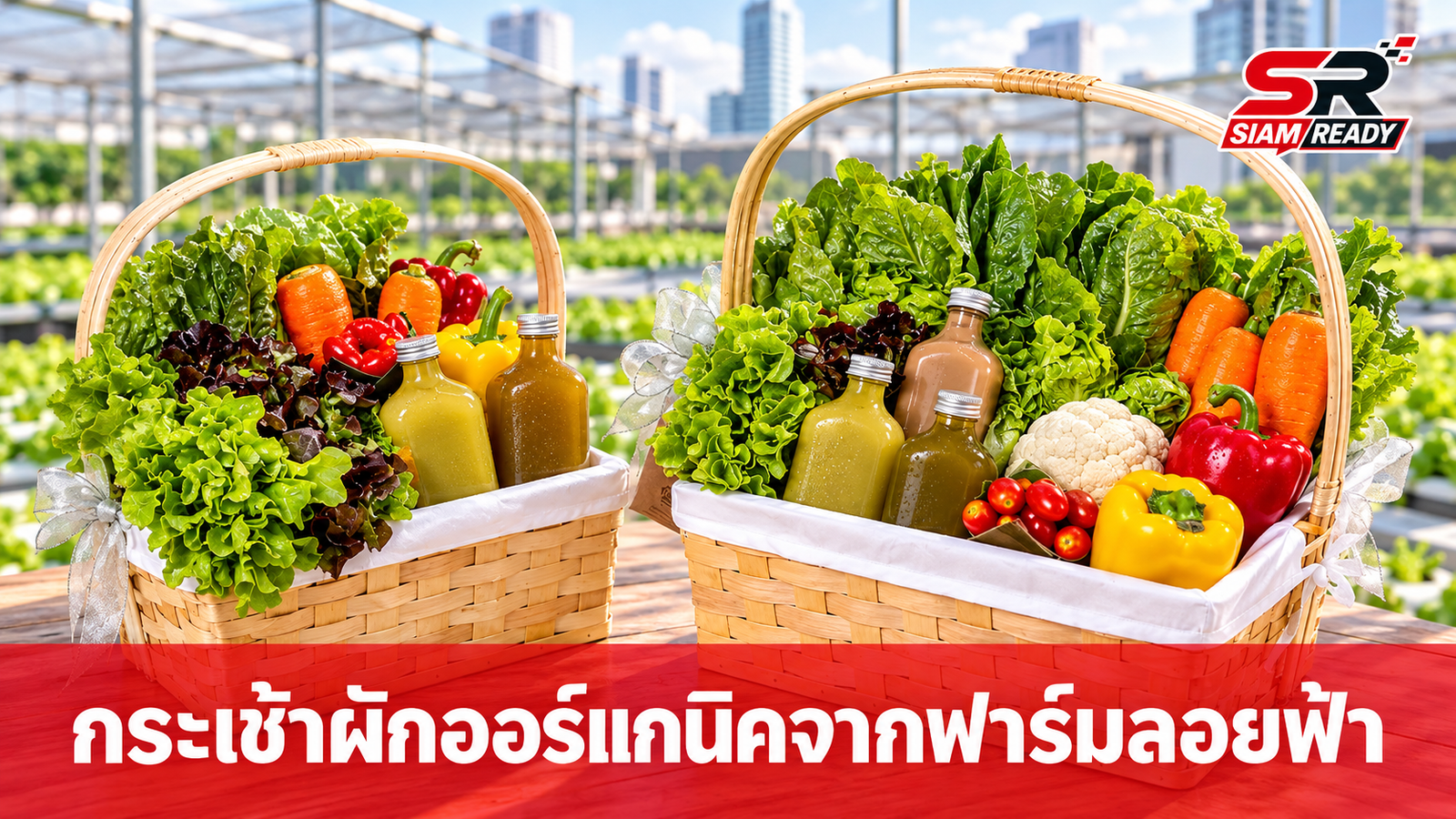 มิลล์ แอนด์ โค เปิดตัวกระเช้าผักออร์แกนิค ส่งต่อความห่วงใยจากฟาร์มลอยฟ้าใจกลางเมือง