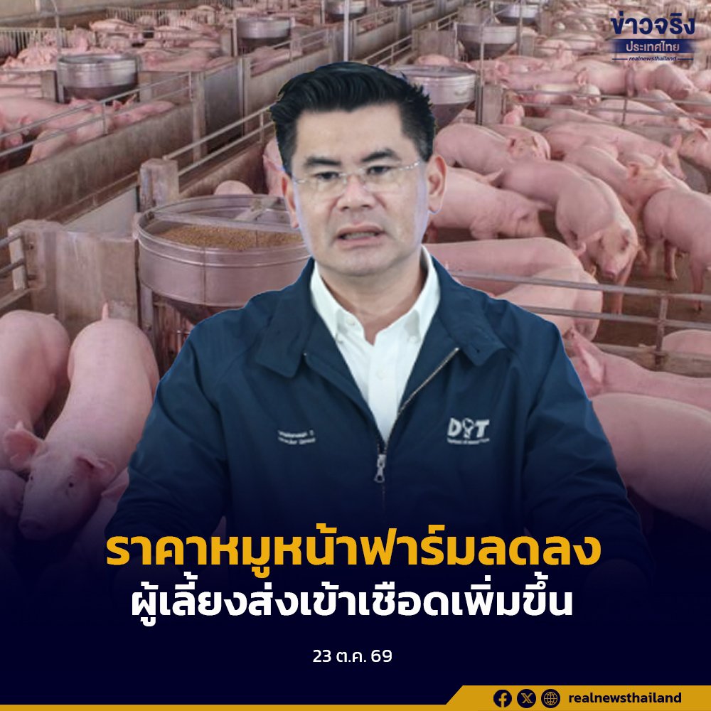 กรมการค้าภายในยันราคาสุกรหน้าฟาร์มลดลง ชี้ผลกระทบน้ำท่วมจำกัด พร้อมเฝ้าระวังต่อเนื่อง