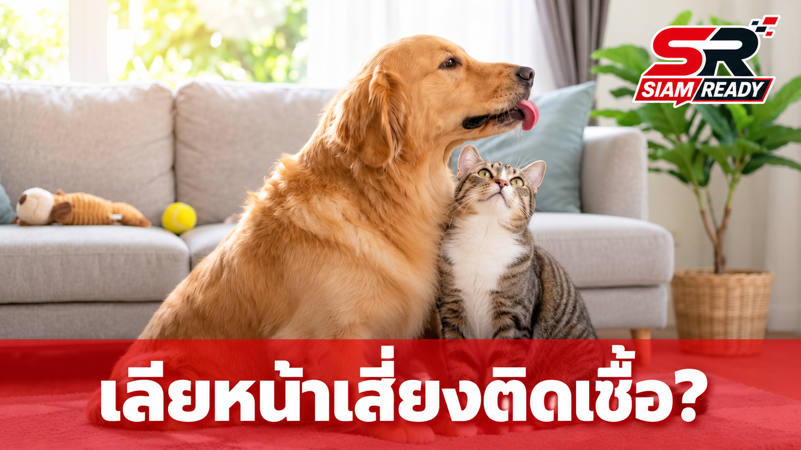 เตือนภัยหมา-แมวเลียหน้า เสี่ยงติดเชื้อแบคทีเรียและโรคพิษสุนัขบ้า