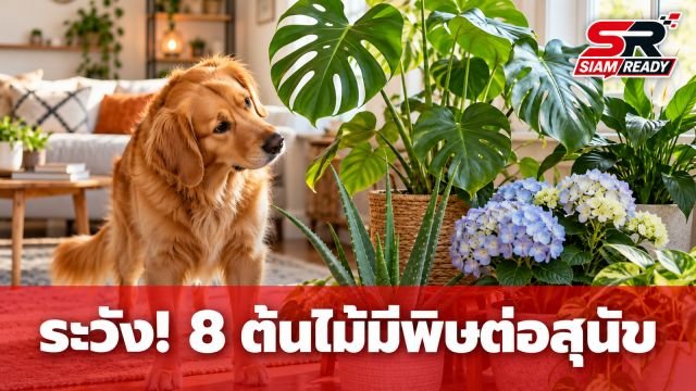 เตือนคนเลี้ยงสุนัข! เปิดชื่อ 8 ต้นไม้สวยแต่มีพิษ เผลอกัดกินอาจอันตรายถึงชีวิต