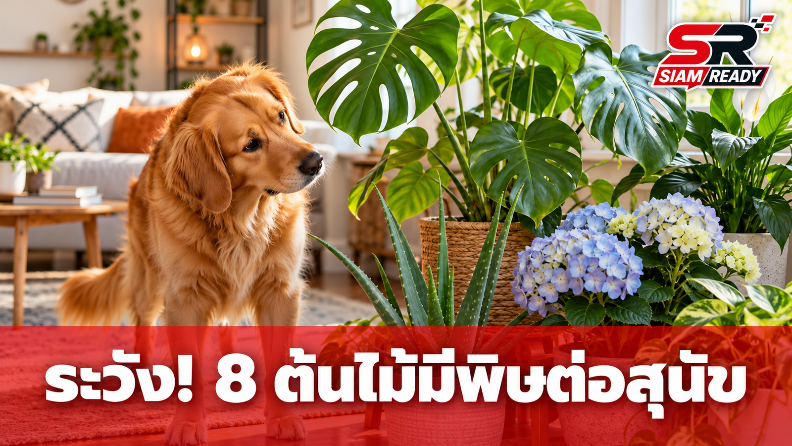 เตือนคนเลี้ยงสุนัข! เปิดชื่อ 8 ต้นไม้สวยแต่มีพิษ เผลอกัดกินอาจอันตรายถึงชีวิต