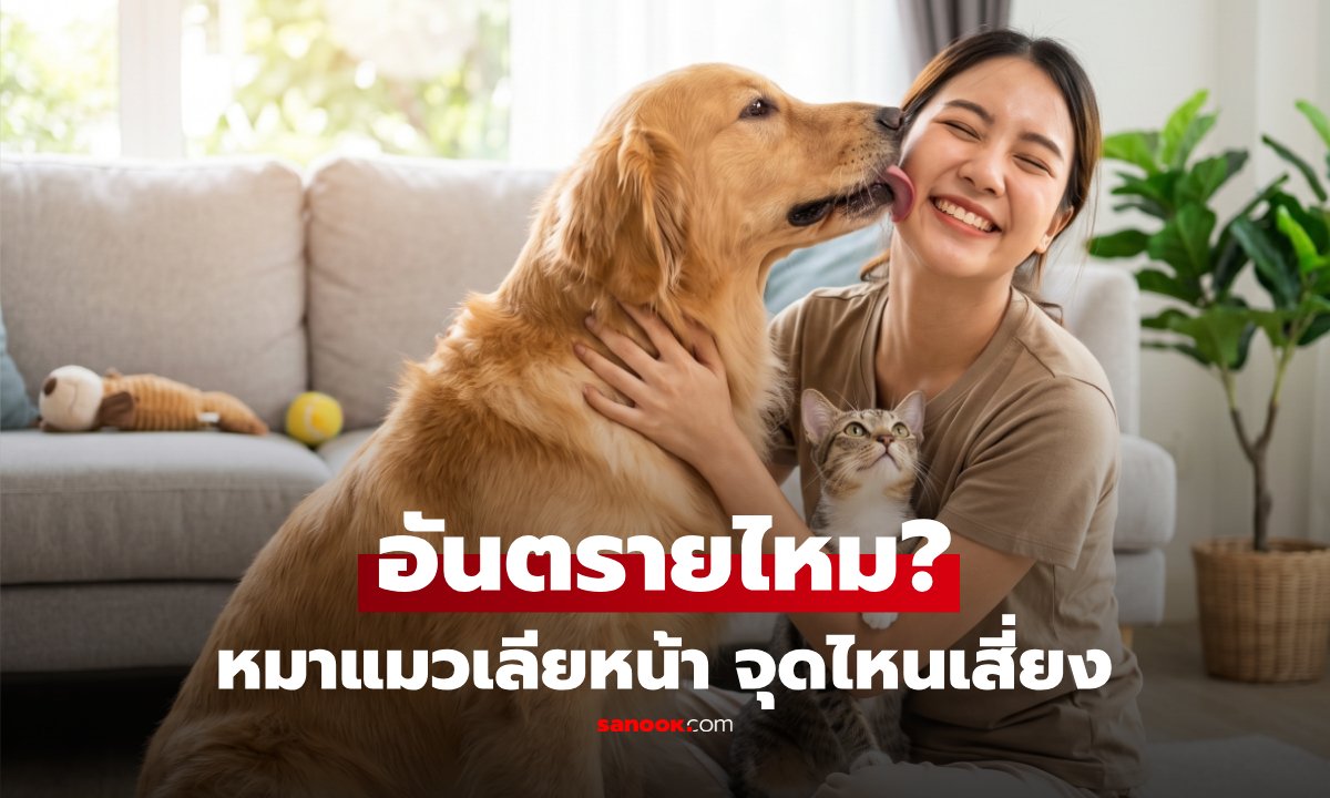 เตือนภัยหมา-แมวเลียหน้า เสี่ยงติดเชื้อแบคทีเรียและโรคพิษสุนัขบ้า