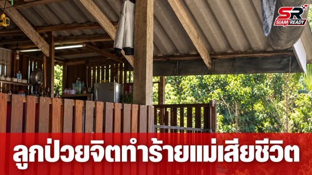 ลูกป่วยจิตก่อเหตุสลด ทำร้ายแม่เสียชีวิตปมขอเงินซื้อรถยนต์ไม่สำเร็จ