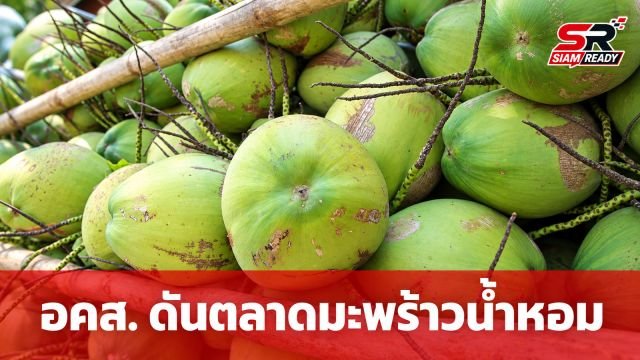 อคส. ขับเคลื่อนโครงการเชื่อมโยงมะพร้าวน้ำหอมไทยจากสวนสู่ภาคอุตสาหกรรม