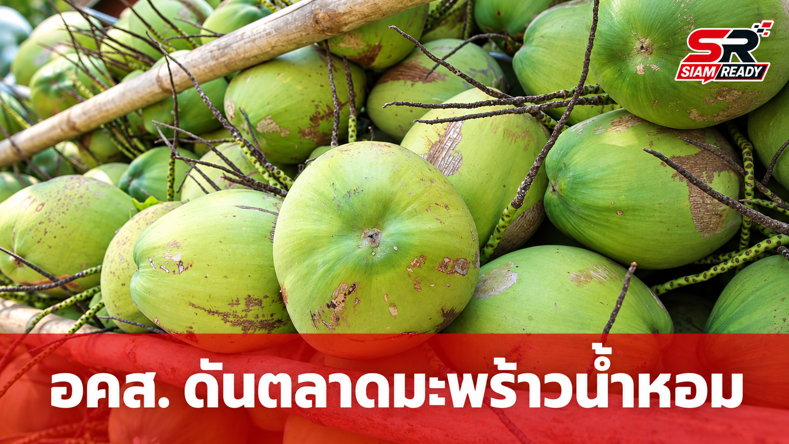 อคส. ขับเคลื่อนโครงการเชื่อมโยงมะพร้าวน้ำหอมไทยจากสวนสู่ภาคอุตสาหกรรม