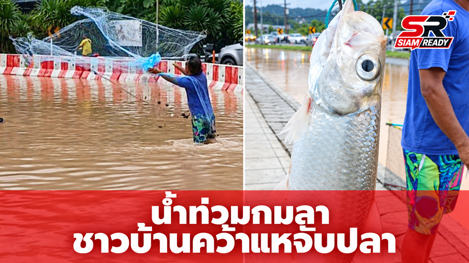 น้ำท่วมกมลาไม่หวั่น ชาวบ้านคว้าแหหว่านจับปลาบนถนน