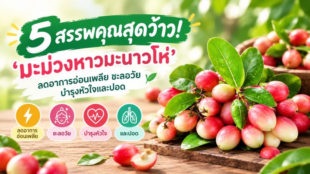 เปิด 5 สรรพคุณเด่น 'มะม่วงหาวมะนาวโห่' สมุนไพรใกล้ตัวเพื่อสุขภาพ
