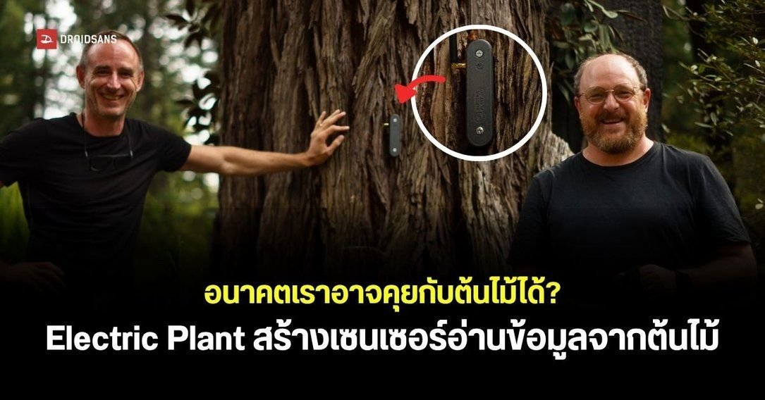 Electric Plant สตาร์ตอัปเปิดตัว AI 'Bombadil' ถอดรหัสสัญญาณไฟฟ้าสื่อสารกับพืช
