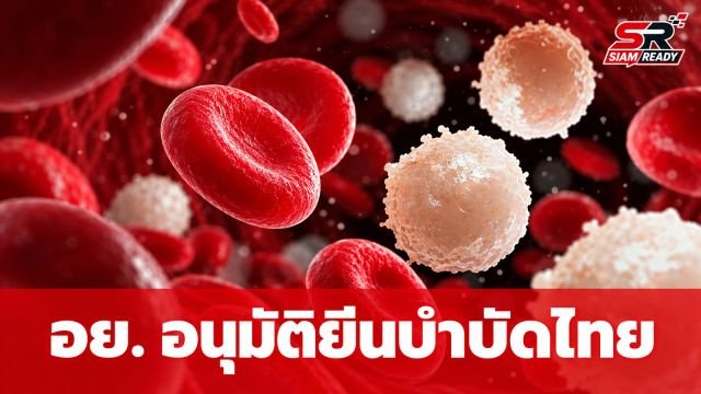 อย. ไฟเขียวขึ้นทะเบียน 'PROTACAR' ยีนบำบัดสัญชาติไทยตัวแรก รักษามะเร็งเม็ดเลือดขาว