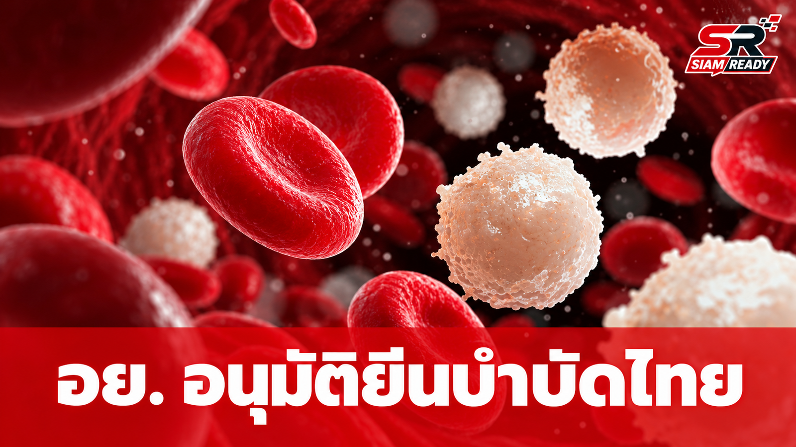 อย. ไฟเขียวขึ้นทะเบียน 'PROTACAR' ยีนบำบัดสัญชาติไทยตัวแรก รักษามะเร็งเม็ดเลือดขาว