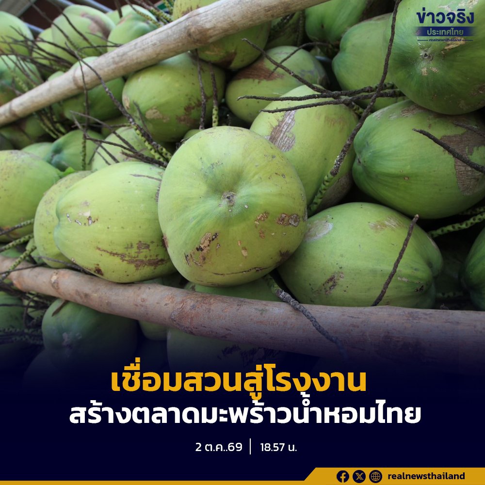 อคส. ขับเคลื่อนโครงการเชื่อมโยงมะพร้าวน้ำหอมไทยจากสวนสู่ภาคอุตสาหกรรม