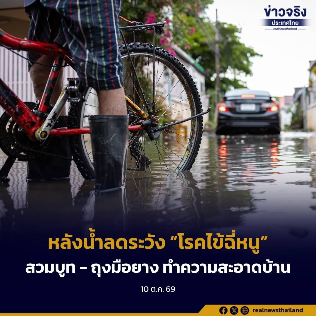 กรมควบคุมโรคเตือนภัยหลังน้ำลด ระวัง 'โรคไข้ฉี่หนู' แนะสวมอุปกรณ์ป้องกันขณะทำความสะอาด