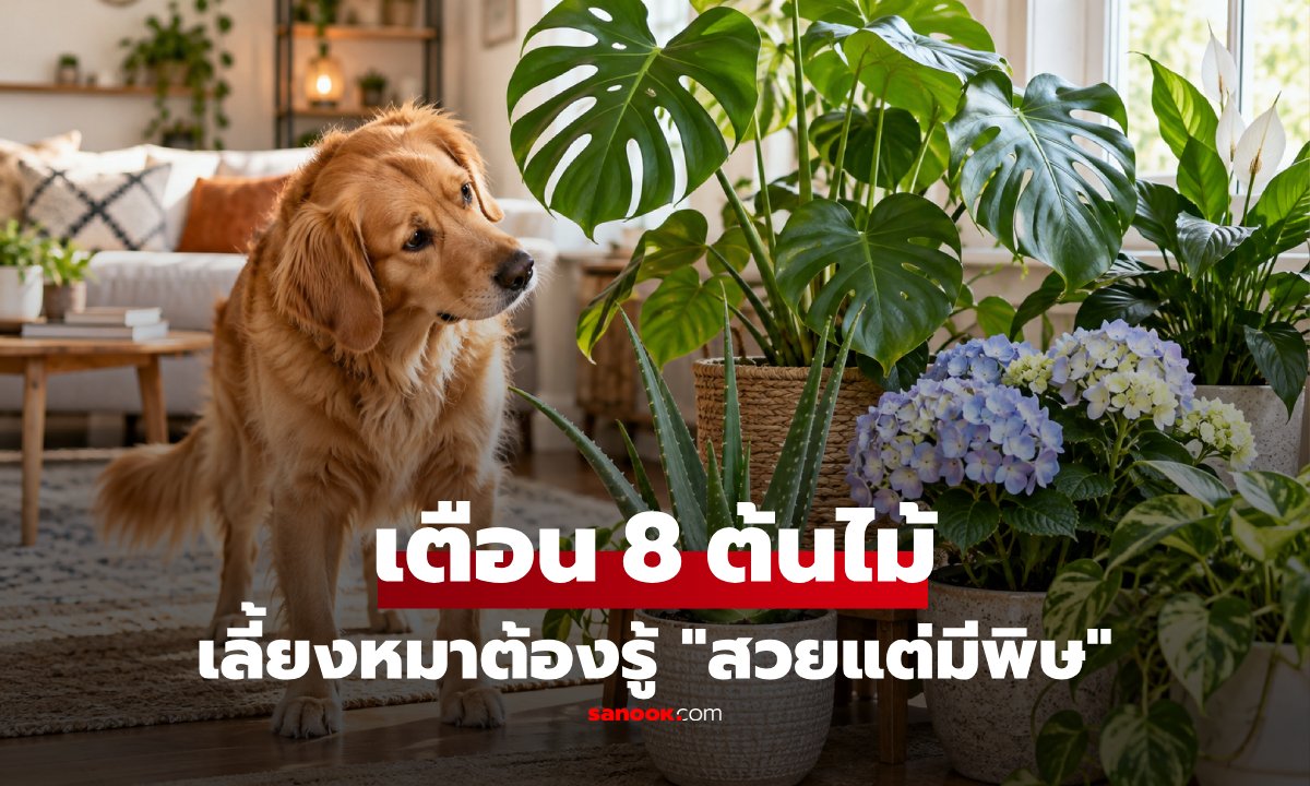 เตือนคนเลี้ยงสุนัข! เปิดชื่อ 8 ต้นไม้สวยแต่มีพิษ เผลอกัดกินอาจอันตรายถึงชีวิต