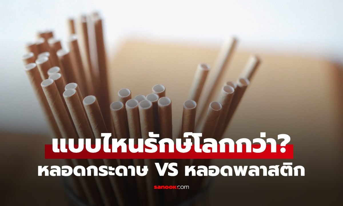 เปิดผลวิจัยหลอดกระดาษ vs พลาสติก แบบไหนกันแน่ที่รักษ์โลกมากกว่า?