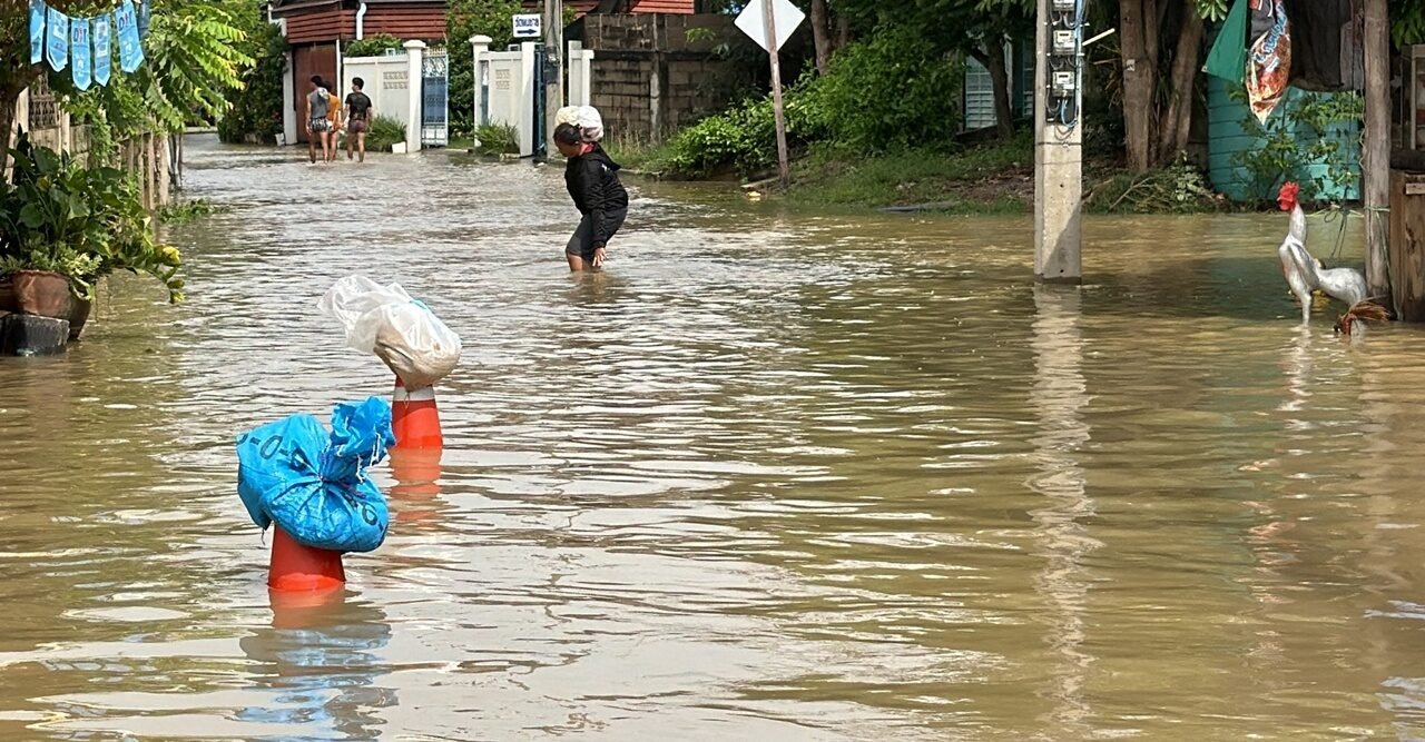 เขาย้อยอ่วม! น้ำท่วมฉับพลัน จ่อประกาศ 9 ตำบลเป็นเขตภัยพิบัติ