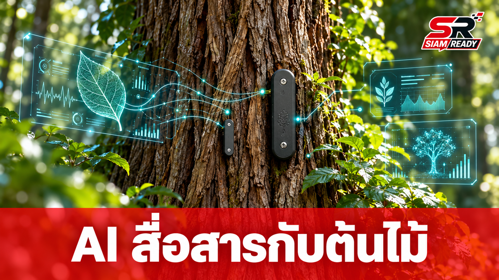 Electric Plant สตาร์ตอัปเปิดตัว AI 'Bombadil' ถอดรหัสสัญญาณไฟฟ้าสื่อสารกับพืช